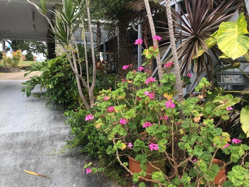 Coffs Shearwater Motel คอฟฟ์ฮาร์เบอร์ ภายนอก รูปภาพ